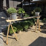 菊の台